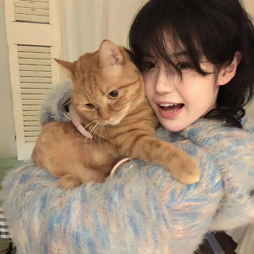 猛虎嗅蔷薇之盗亦有道 封面